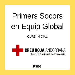 PRIMERS SOCORS EN EQUIP GLOBAL 3/11/2025 - 22/11/2025